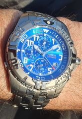 Festina F16393/A